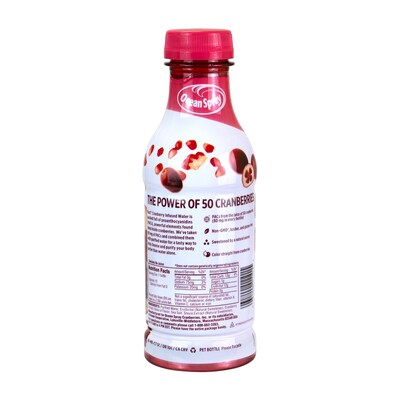 Ocean Spray Cranberry Pomegranate Infused Water, 16 oz, 12/Pack (307-00091)