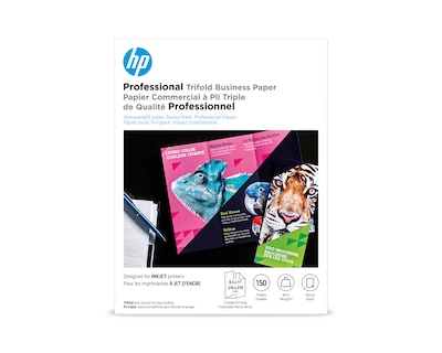 Epson Matte Presentation Paper, 8.5 x 11, 100 Sheets/Pack (S041062)