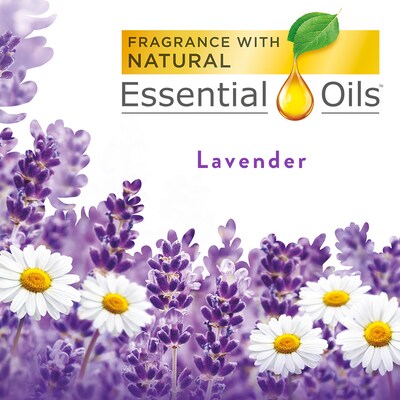 Air Wick Freshmatic Air Freshener Refill, Lavender Scent, 5.89 Oz., 6/Carton (6233877961CT)