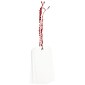 JAM Paper® Gift Tags with String, Medium, 4 3/4 x 2 3/8, White with Red String, 10/Pack (91932670Z)