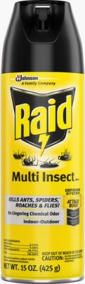 Raid Multi Insect Killer, Indoor/Outdoor Aerosol Spray, 15 oz. (300819)