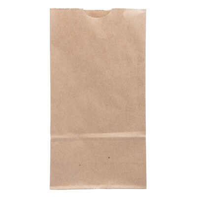 JAM Paper Kraft Lunch Bags, 8 x 4.25 x 2.25, Brown, 25/Pack (690KRBR)