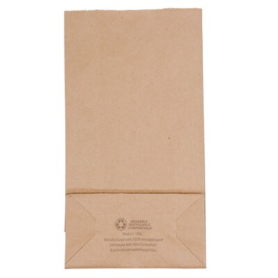 JAM Paper Kraft Lunch Bags, 8" x 4.25" x 2.25", Brown, 25/Pack (690KRBR)