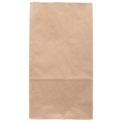 JAM Paper Kraft Lunch Bags, 11" x 6" x 3.5", Brown, 25/Pack (692KRBR)