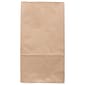 JAM Paper Kraft Lunch Bags, 11 x 6 x 3.5, Brown, 25/Pack (692KRBR)