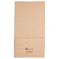 JAM Paper Kraft Lunch Bags, 11" x 6" x 3.5", Brown, 25/Pack (692KRBR)