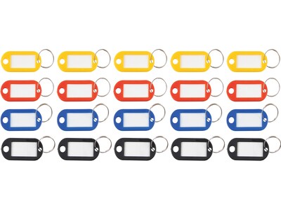 Advantus 1-Key Tags, Assorted Colors, 20/Pack (KEY98007)