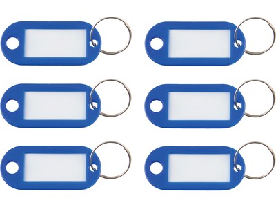 Advantus 1-Key Tags, Dark Blue, 6/Pack (KEY98019)