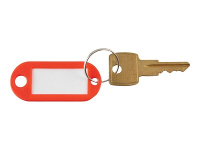 Advantus 1-Key Tags, Red, 6/Pack (KEY98018)