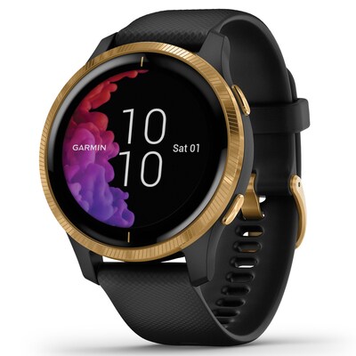 Garmin Venu GPS Smartwatch, Gold Stainless Steel Bezel with Black Case and Silicone Band (010-02173-31)