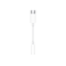 Apple USB-C to 3.5 mm Headphone Jack Adapter for 11 iPad Pro; 12.9 iPad Pro (3rd gen); iPhone 11 (