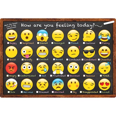 Ashley Productions Smart Poly Chart, 13 x 19, Emotions Icon How Are You Feeling (ASH91032)