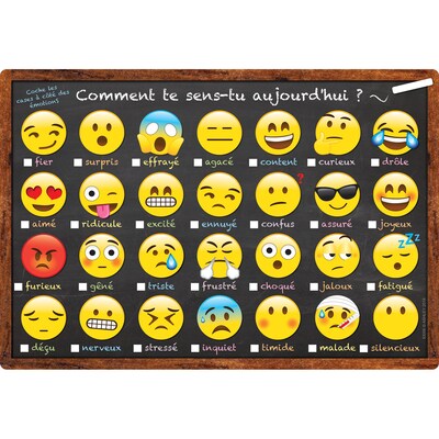 Ashley Productions Smart Poly French Chart, 13 x 19, Comment te sens-tu aujourdhui ? (How Are You Feeling Today?) (ASH93006)