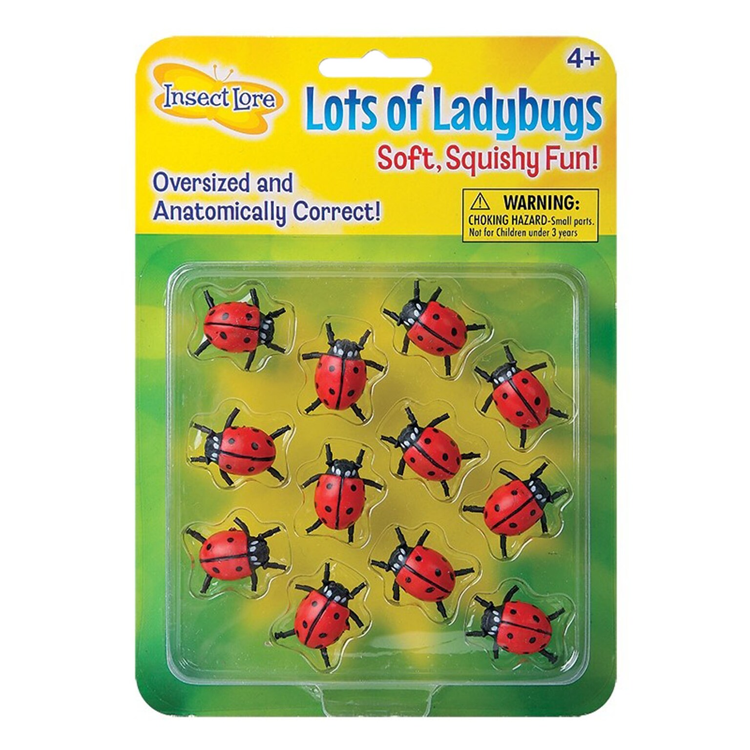 Insect Lore Lots Of Ladybugs Science Manipulative for Students (ILP4850)