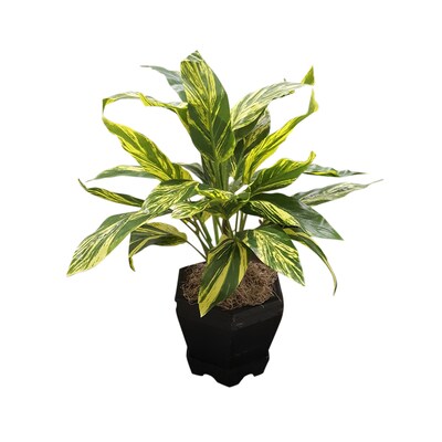 Nearly Natural 6789 Ginger Plant with Black Planter Green & Black