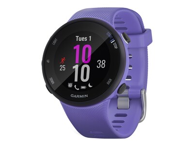 Garmin Forerunner 45S Running Watch, Iris (010-02156-01)
