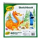 Crayola 9" x 9" Sketch Book, 40 Sheets/Book (99-3404)