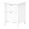 Bush Furniture Broadview 2 Drawer File Cabinet, Pure White (BDF124WH-03)