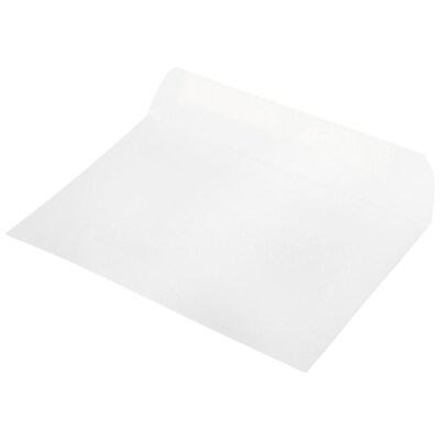 JAM Paper Window Envelope, 6" x 9", White, 1000/Carton (0223933C)