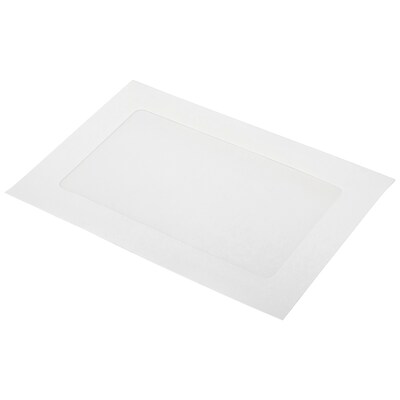 JAM Paper Window Envelope, 6" x 9", White, 1000/Carton (0223933C)