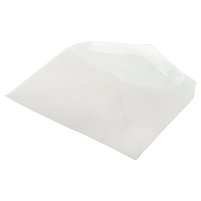 JAM Paper 2Pay Translucent Vellum Envelopes, 2.5 x 4.25, Clear, 100/Pack (900767740A)