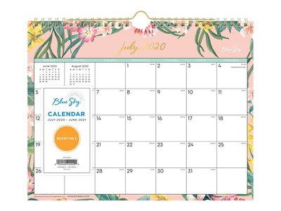 2020-2021 Blue Sky 8.75 x 11 Wall Calendar, Allena, Multicolor (119418)