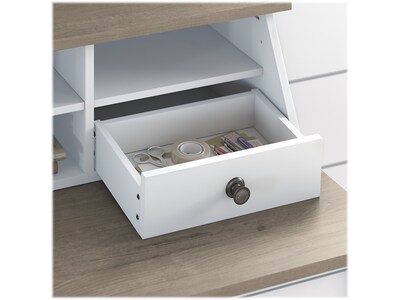 Bush Furniture Mayfield 60"W L Shaped Computer Desk with Desktop Org and 6 Cube Bookcase, Shiplap Gray/Pure White (MAY013GW2)