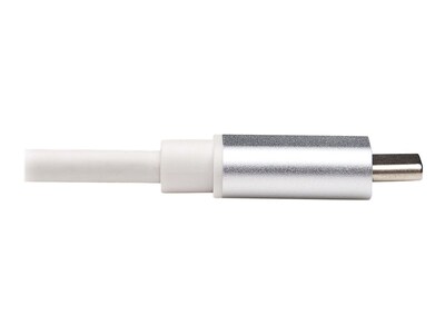 Tripp Lite USB C Male/Female, Silver (U437-002)