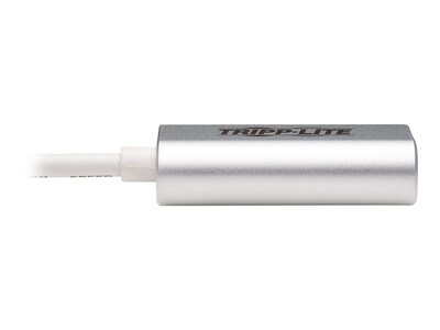 Tripp Lite USB C Male/Female, Silver (U437-002)