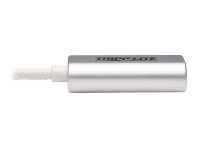 Tripp Lite USB C Male/Female, Silver (U437-002)
