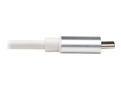 Tripp Lite USB C Male/Female, Silver (U437-002)