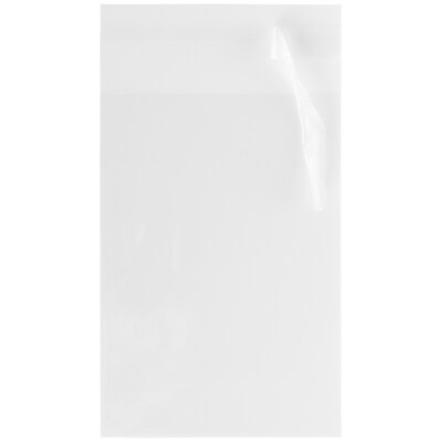 JAM Paper Cellophane Envelope with Peel & Seal Closure, A10, 6.25 x 9.625, Clear, 100/Pack (A10CELLO
