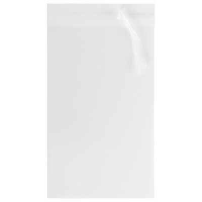 JAM Paper Cellophane Envelope with Peel & Seal Closure, 5.9375 x 8.875, Clear, 1000/Carton (A9CELLOB