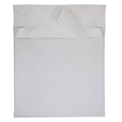 JAM Paper Peel & Seal Booklet Envelope, 12 x 16 , White, 100/Pack (376634198B)