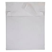 JAM Paper Peel & Seal Booklet Envelope, 12 x 16 , White, 100/Pack (376634198B)