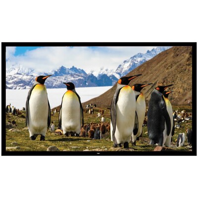 Pyle PRJTPFL112 Fixed Wall-Mount Projector Screen, 110