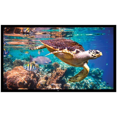 Pyle PRJTPFL122 Fixed Wall-Mount Projector Screen, 120