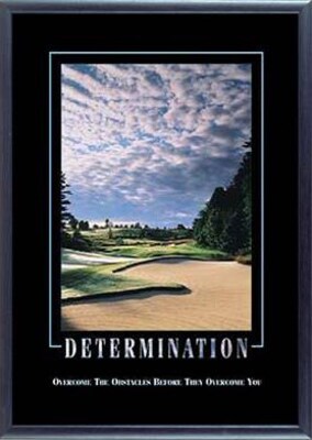 SECO Stewart Superior Determination Framed Motivational Poster, 21.5 x 29, Black Frame (MPI1003) | Quill