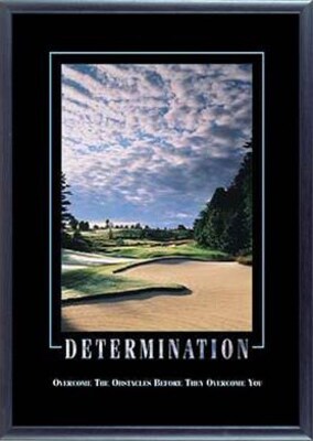 SECO®  Stewart Superior Determination Framed Motivational Poster, 21.5 x 29, Black Frame (MPI1003)