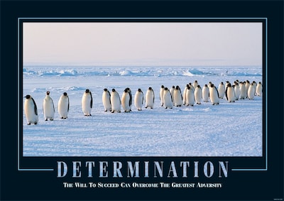 SECO®  Stewart Superior Determination Framed Motivational Poster, 29 x 21.5, Black Frame (MPI001)