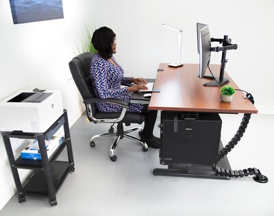 Mount-It! Executive Pro Plus Standing Desk Bundle