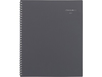 2021 AT-A-GLANCE 8.5 x 11 Appointment Book, DayMinder, Gray (GC520-07-21)