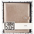Simple Stories SSCDA5-4935 Carpe Diem A5 Planner-Platinum