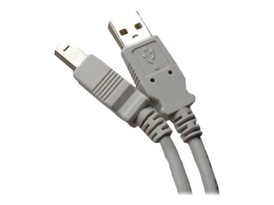Professional Cable 10 USB B Male/A Male, Gray (USB-10)