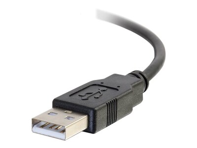 C2G 6' USB C Male/A Male, Black (28871)