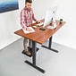 Mount-It! Executive Standing Desk Bundle