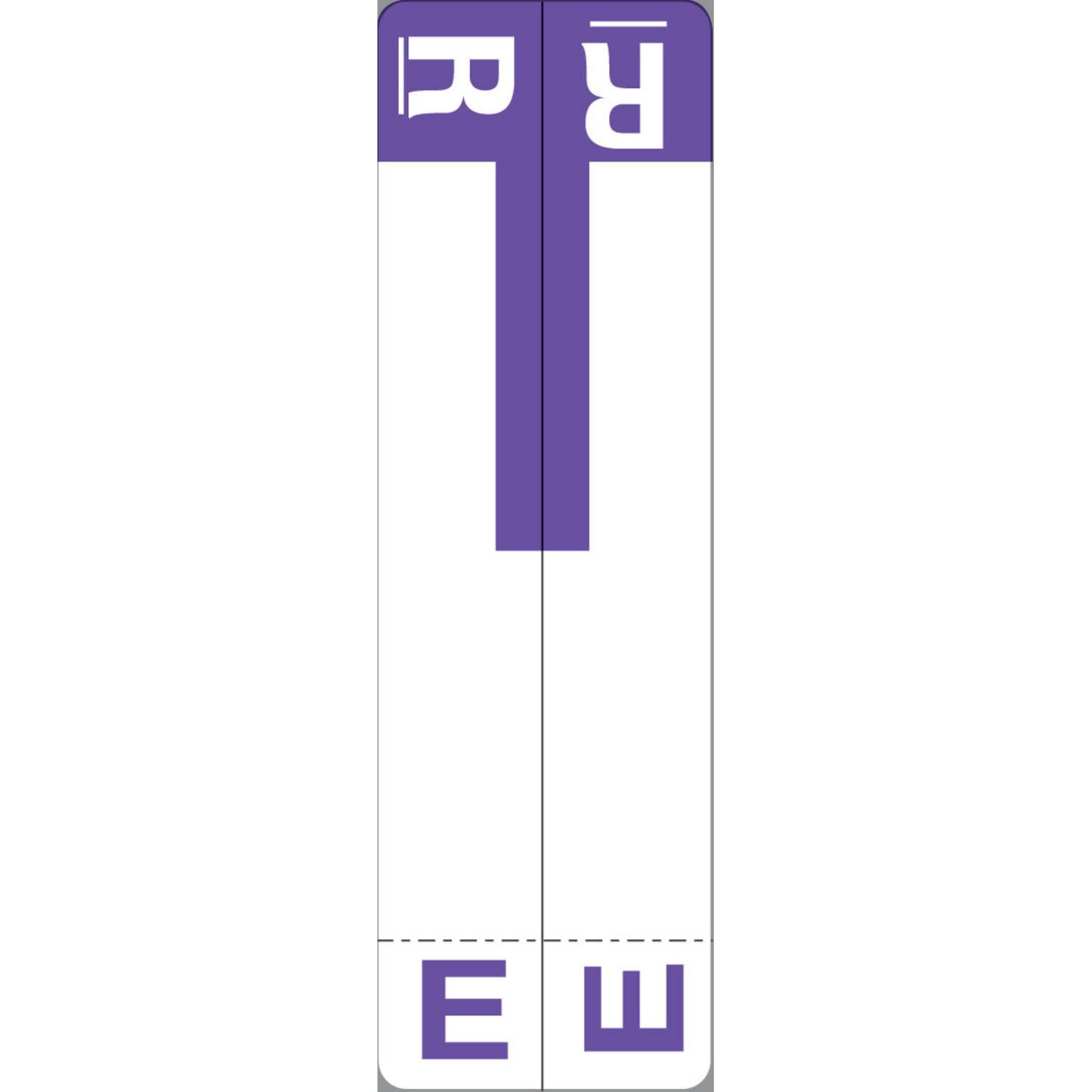 Medical Arts Press® E and R Name Labels, Fuschia, Smead® Alpha-Z® Compatible