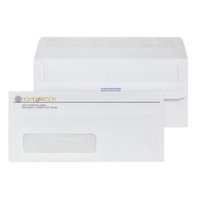 Custom #10 Self Seal Window Envelopes, 4 1/4 x 9 1/2, 24# White Wove, 1 Standard and 1 Custom Inks