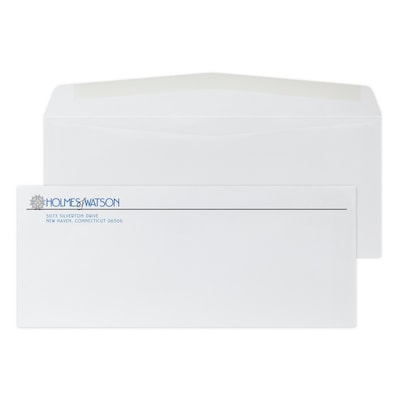 Custom #10 Standard Envelopes, 4 1/4 x 9 1/2, 24# White Wove, 2 Standard Inks, 250 / Pack