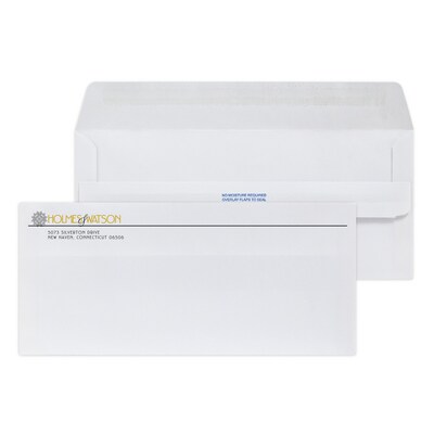 Custom #10 Self Seal Envelopes, 4 1/4 x 9 1/2, 24# White Wove, 1 Standard and 1 Custom Inks, 250 /